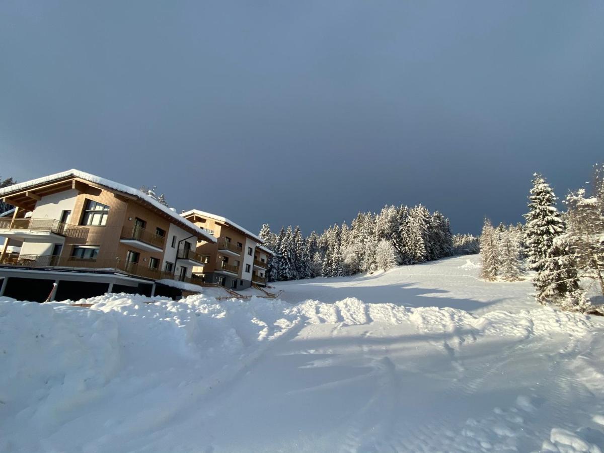 Moderne Kaminstube Daire Ramsau am Dachstein Dış mekan fotoğraf