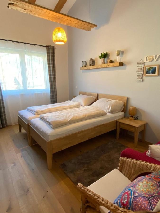 Moderne Kaminstube Daire Ramsau am Dachstein Dış mekan fotoğraf
